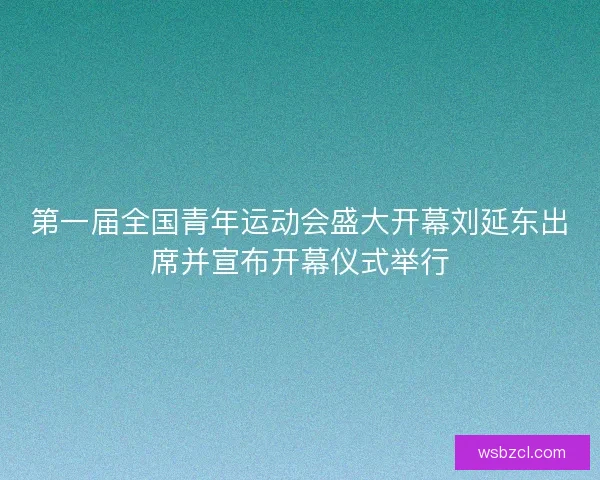 第一届全国青年运动会盛大开幕刘延东出席并宣布开幕仪式举行